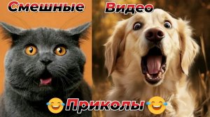 Смешные видео приколы|Коты и собаки|Юмор и Приколы.