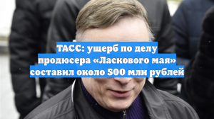ТАСС: ущерб по делу продюсера «Ласкового мая» составил около 500 млн рублей
