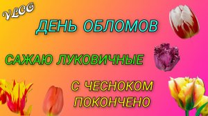 🍒 День обломов по дороге на дачу/ С чесноком покончено/ Сажаю луковичные, жду весны