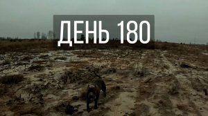 День 180