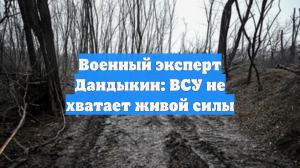 Военный эксперт Дандыкин: ВСУ не хватает живой силы