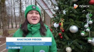 В парке "Сестрорецкий" в Клину возводят резиденцию Деда Мороза