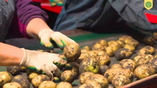 Итоги программы «Лидеры производительности» . Выпуск 2: от хаоса на линии — к рекордной скорости.