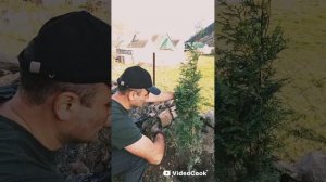 Посадил туи Колумна посмотрим что же их этого выйдет?