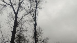 прогноз  когда будет снег  ❄️  25 ноября от волшебника