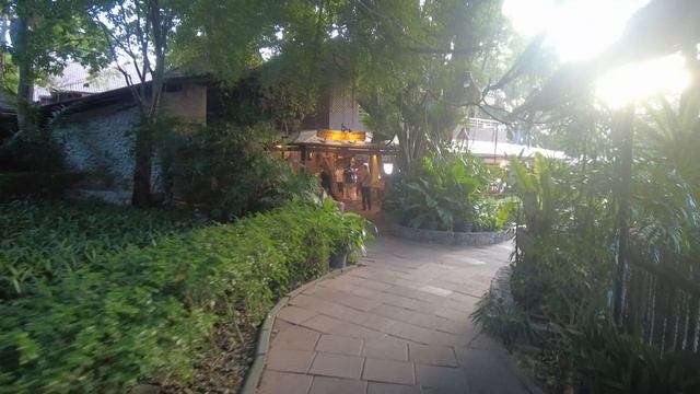 Уличное тайское кафе утром и ресторан "Cabbages and condoms" вечером! Что выбрали бы вы?