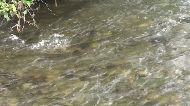 Осенняя пора. смотреть онлайн