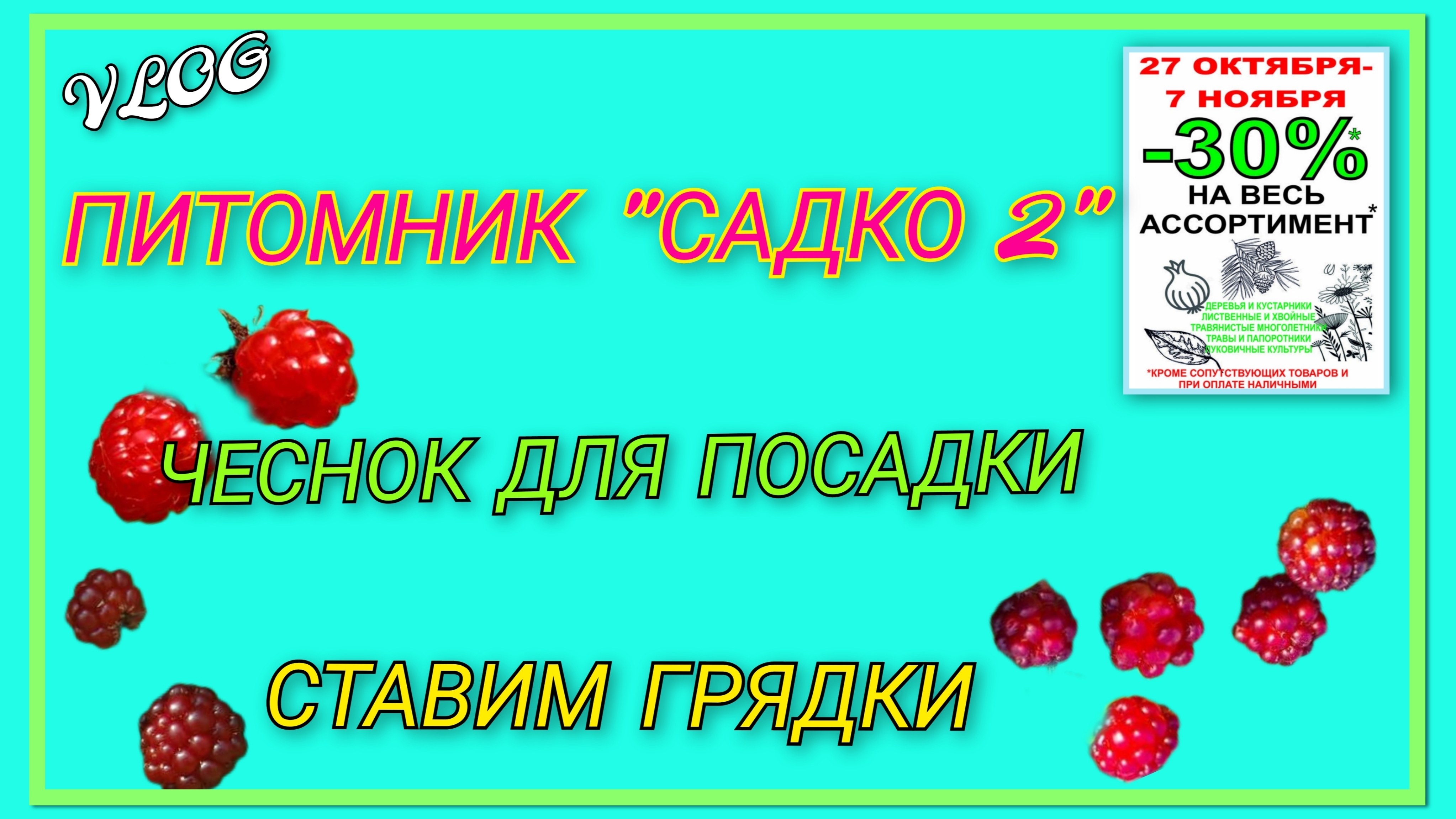 🍒 VLOG: Заехали в питомник Садко 2, наши приобретения/ Купили на рынке не лучший чеснок для посадки
