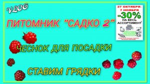 🍒 VLOG: Заехали в питомник Садко 2, наши приобретения/ Купили на рынке не лучший чеснок для посадки