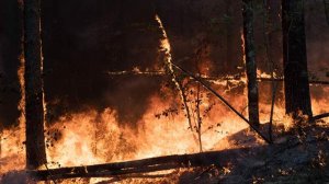 В Геленджике БПЛА вызвал возгорание лесной подстилки