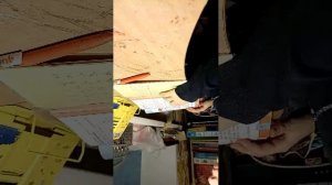 делаю домашку