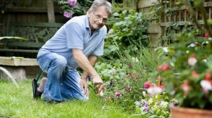 Старею братишки, старею!