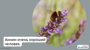 Фамилия Аннин: исследуем происхождение и значимость фамилии и советы по склонению