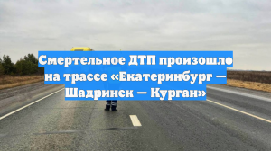 Смертельное ДТП произошло на трассе «Екатеринбург — Шадринск — Курган»