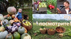 Это же рай! И обрести его может каждый. Надо просто сделать первый шаг