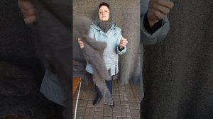 89507716355 Ажурный платочек и косынки. Всё связано из местного, козьего пуха. Натуральные.