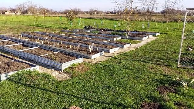 Начала огораживать поляну 25.11.25