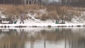 поимка форели на фидер