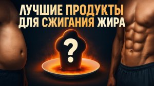 ЛУЧШИЕ ПРОДУКТЫ СЖИГАЮЩИЕ ЖИР
