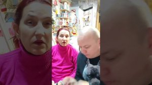 Дневной эфир от 25.11.25 съездили сдать анализы, поставили машину на учёт и прошли ТО