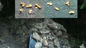 Потайная яма с Золотом! #2