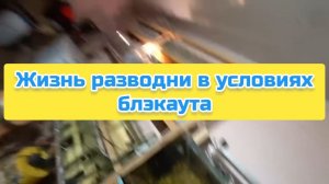 Жизнь разводни в условиях блэкаута