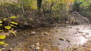 Лазаревское.Каткова щель