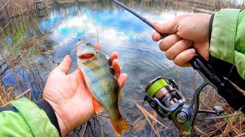 Лучшая зимняя рыбалка. Ловим Окуня. Вид от первого лица. Сибирь