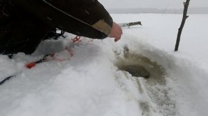 рыбалка на налима / открытие сезона зимней рыбалки 2025-26 / первый трофей пойман на живца