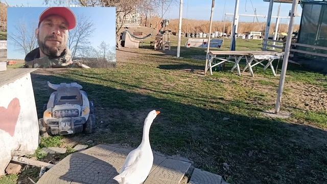 ❤️ Знакомство с КВЕСТФЕРМОЙ ЛЕО 💚. Начало пути на Рутубе ❤️