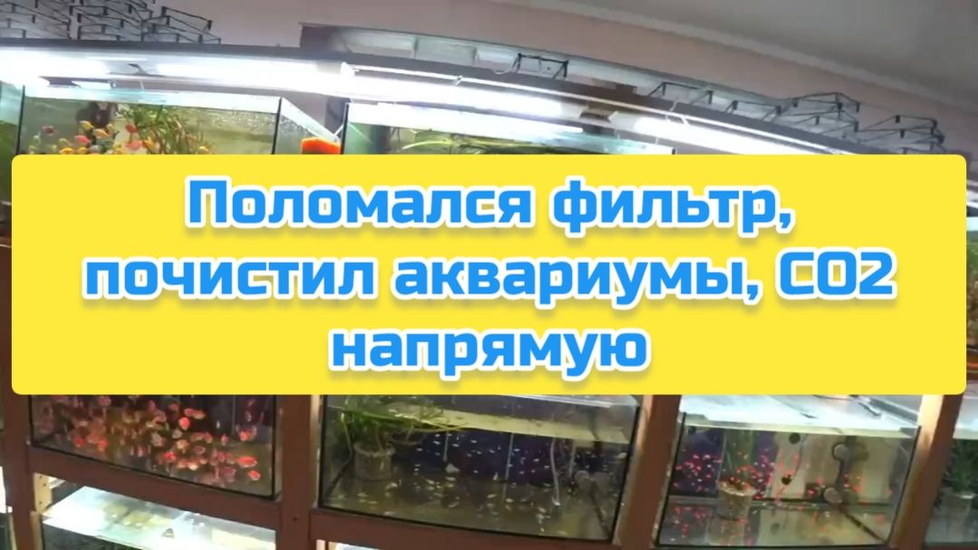 Поломался фильтр, почистил аквариумы, СО2 напрямую смотреть онлайн