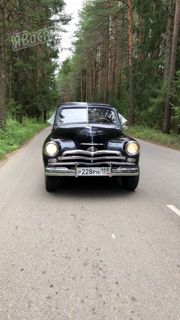 Победа в лесу #газм20победа #лес #славяне #вквидео #м20 #shorts