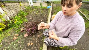 УЮТНЫЙ ДЕНЬ, САЖАЛИ ТЮЛЬПАНЫ И ГОТОВИЛИ БИСКВИТНЫЕ ВАФЛИ.