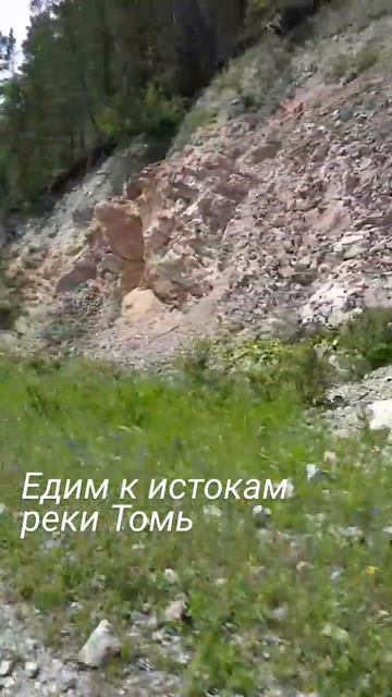 Едим с другом к истокам реки Томь. Красивая горка. Росавтопром.