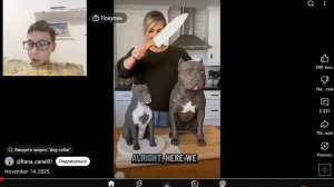 Смотрю шортс на Ютубе