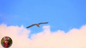 Однажды бросив в море монетку Писал в преддверии поездки в Абхазию(думал что то изменилось, но увы)