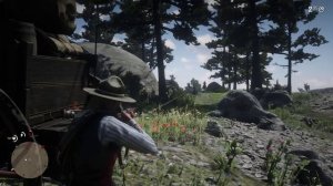 Red Dead Redemption 2 . МУКИ СОВЕСТИ