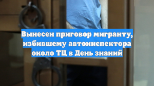 Вынесен приговор мигранту, избившему автоинспектора около ТЦ в День знаний