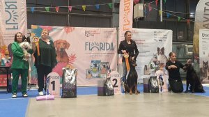 22.11.2025, СПб. Клуб "Каскад" (РКФ, РФЛС). Выставка собак "СОЗВЕЗДИЕ СЕВЕРНОЙ СТОЛИЦЫ" (САС, ЧРКФ)