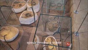 время римлян в музее