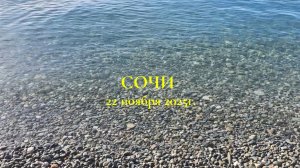 22 ноября 2025г. Сочи