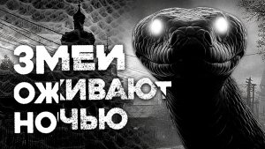 СТРАШНЫЕ ИСТОРИИ «Змеи оживают ночью»