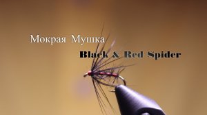 Мокрая Мушка Black & Red Spider Как связать от GM FLY