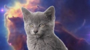 🤣 ...Полёт во Вселенной... 🤣