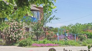 Как мы украшаем улицы нашего хутора!