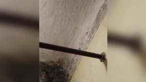 Новости Кирова 20.11.25