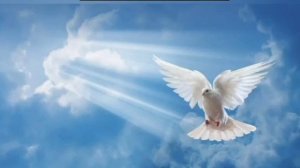 Тема_ РОЛЬ ДУХА СВЯТОГО В ЖИЗНИ ЦЕРКВИ(360P).mp4