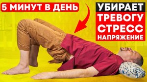 Как БЫСТРО снять СТРЕСС! Секрет массажиста НА КАЖДЫЙ ДЕНЬ | Райхианская губка