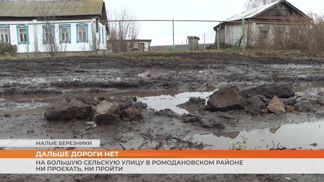 На большую сельскую улицу в Ромодановском районе ни проехать, ни пройти