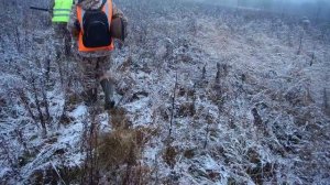 Загонная охота 22.11.2025г. Московская область